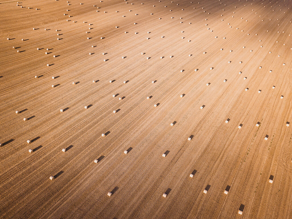 Hundreds of bails of hay dot a barren landscape on an industrial plot of farmland.